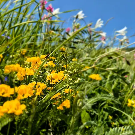 Du Valsorey Lägenhet